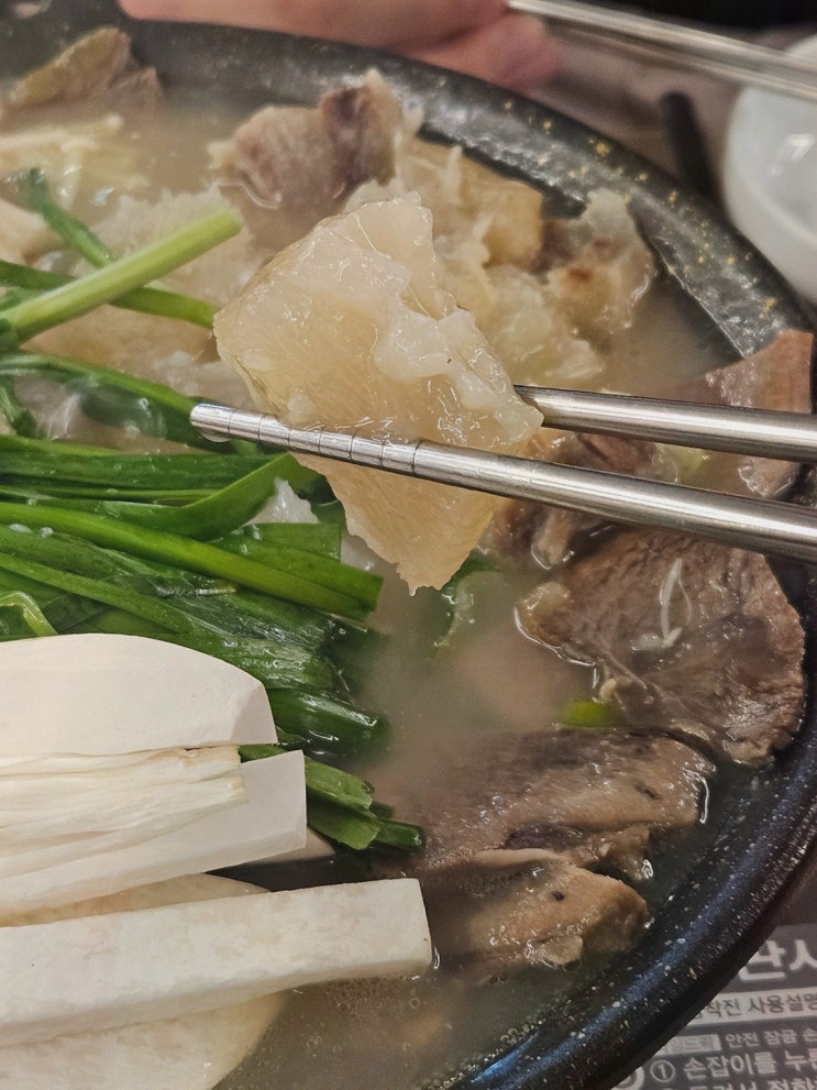  [서초도가니탕 서초본점] 도가니탕과 스지수육이 완벽한 조화, 교대보양식
