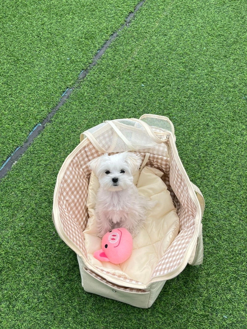 사진 10