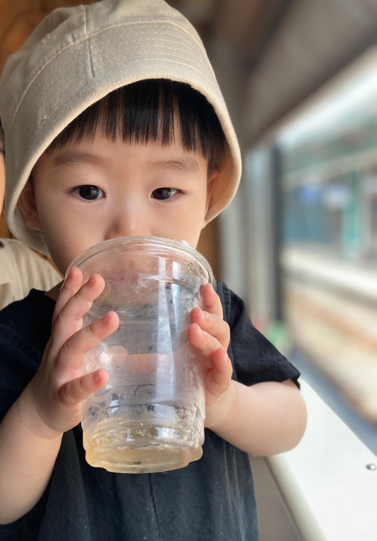  아기와 함께한 서해금빛열차 온돌마루 군산 당일치기 여행기 (수원역 출발)