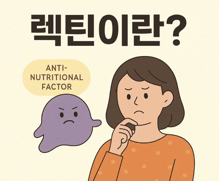  건강식 속에 숨어있는 불청객?_중년 여성이라면 꼭 알아야 할 렉틴 이야기