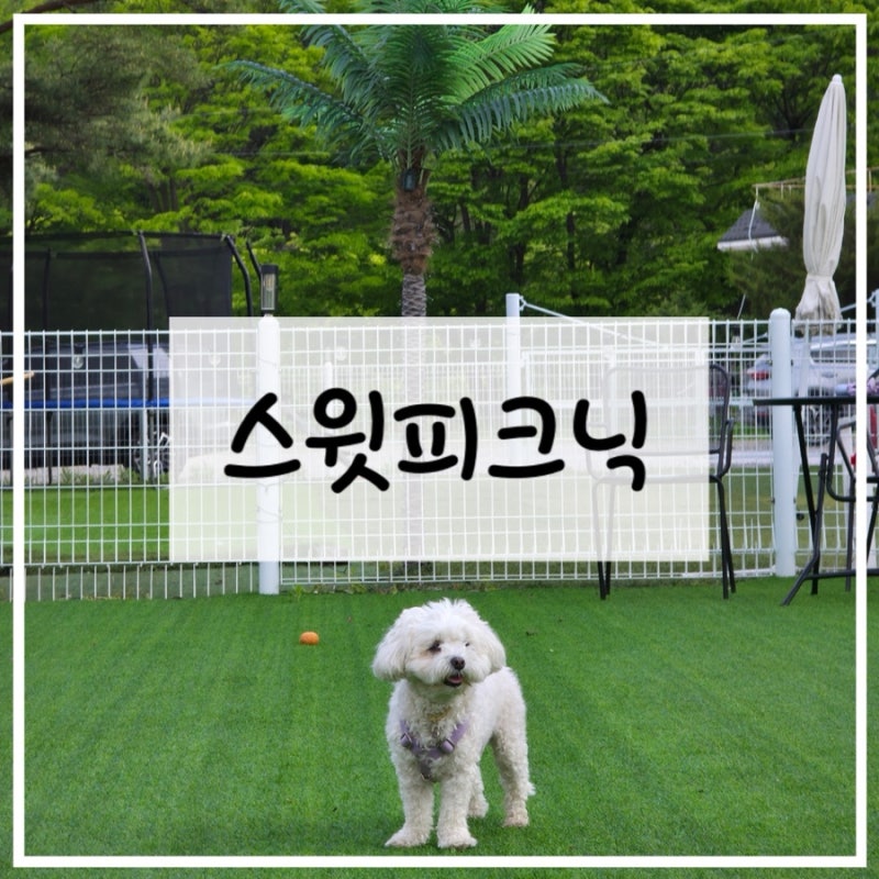 사진 6
