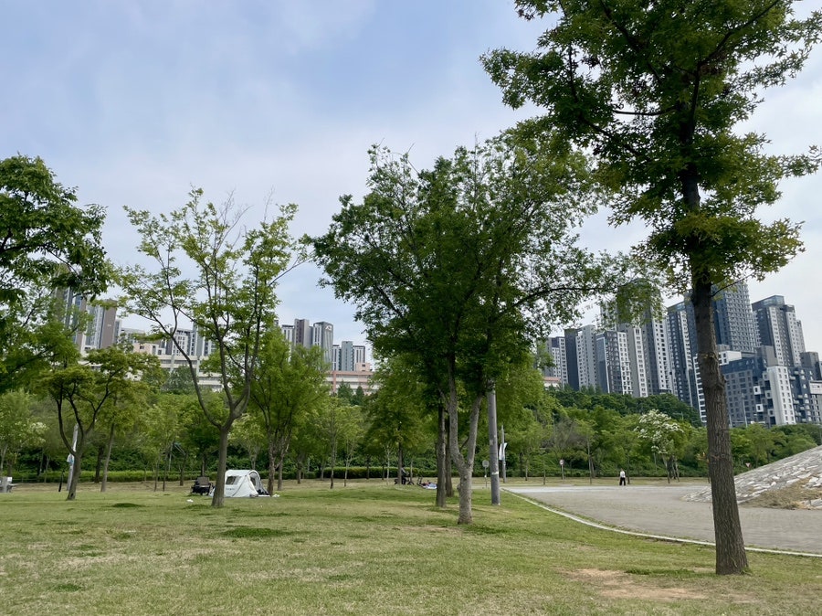 동대문엽기떡볶이 신반포점 사진 2