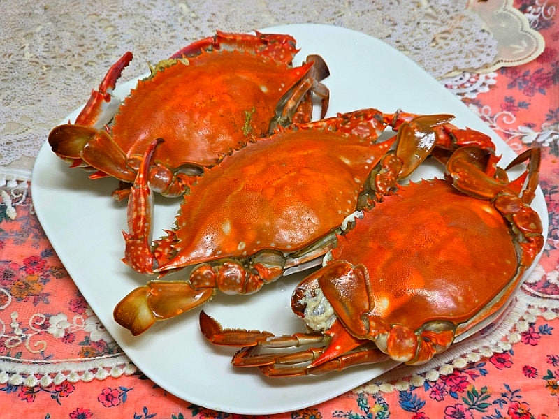 꽃게 삶는법 알이 꽉 찬 암꽃게 찌는법 찌는시간 꽃게찜 달달 굿
