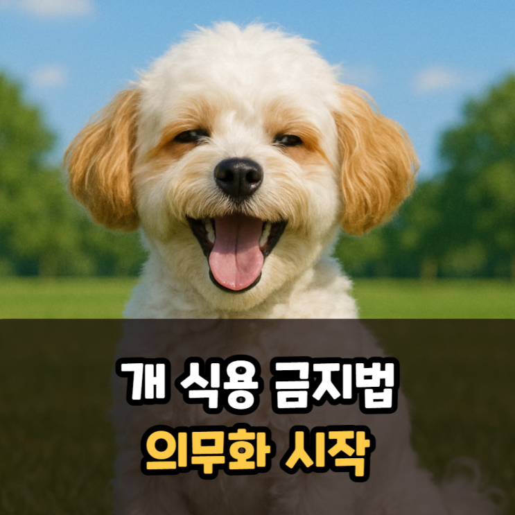  개 식용 금지법 의무화 시작