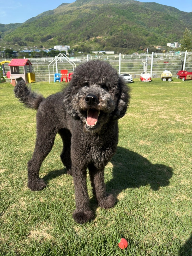 사진 5