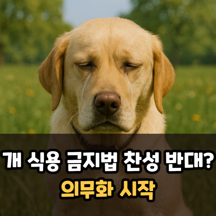  개 식용 금지법 찬성 반대? 의무화 시작