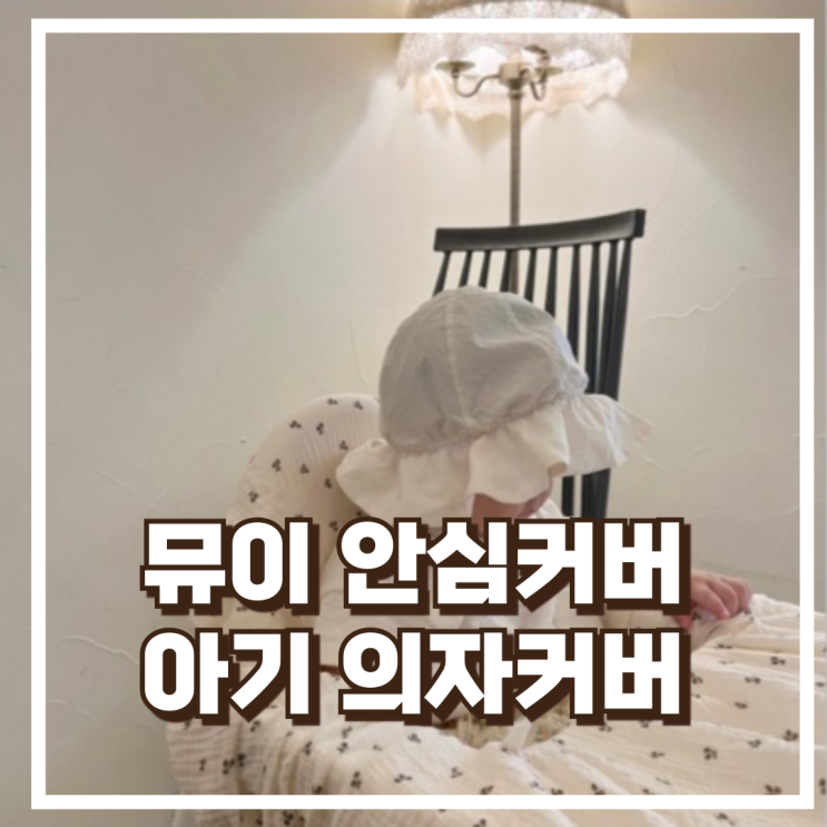  뮤이 안심커버 식당 아기의자커버 다용도 휴대용 위생 베이비체어 리뷰, 혜택가