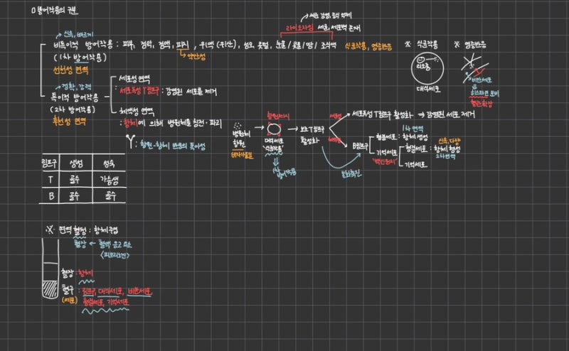 “고등부 영어·수학? 생1까지 완벽 관리! 이 조합, 성공 안 할 수 없음”
