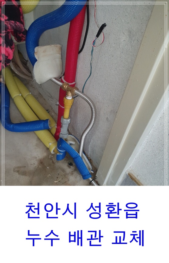  천안시 성환 영흥아파트 수도배관누수 누수배관교체 누수탐지및배관설비전문업체 작업소개