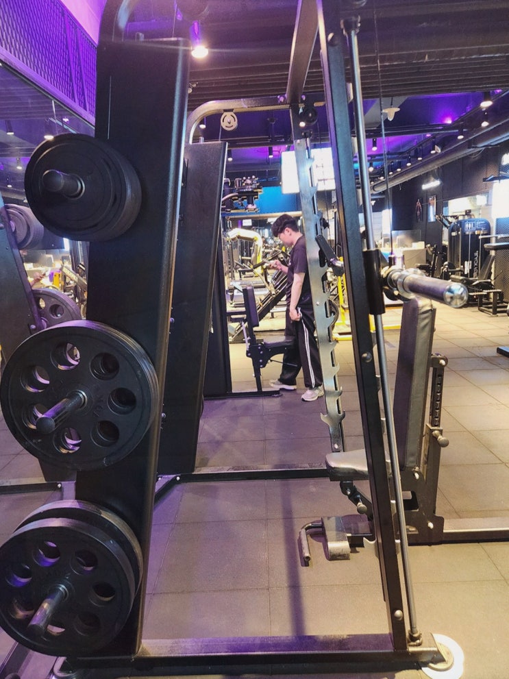  [데이원 피트니스 교대PT] 전문 코치와 최신 기구로 만나보는 교대역헬스장