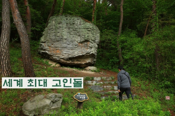 전북 서해안권 지질공원 고창 운곡람사르습지에 300톤 세계... 