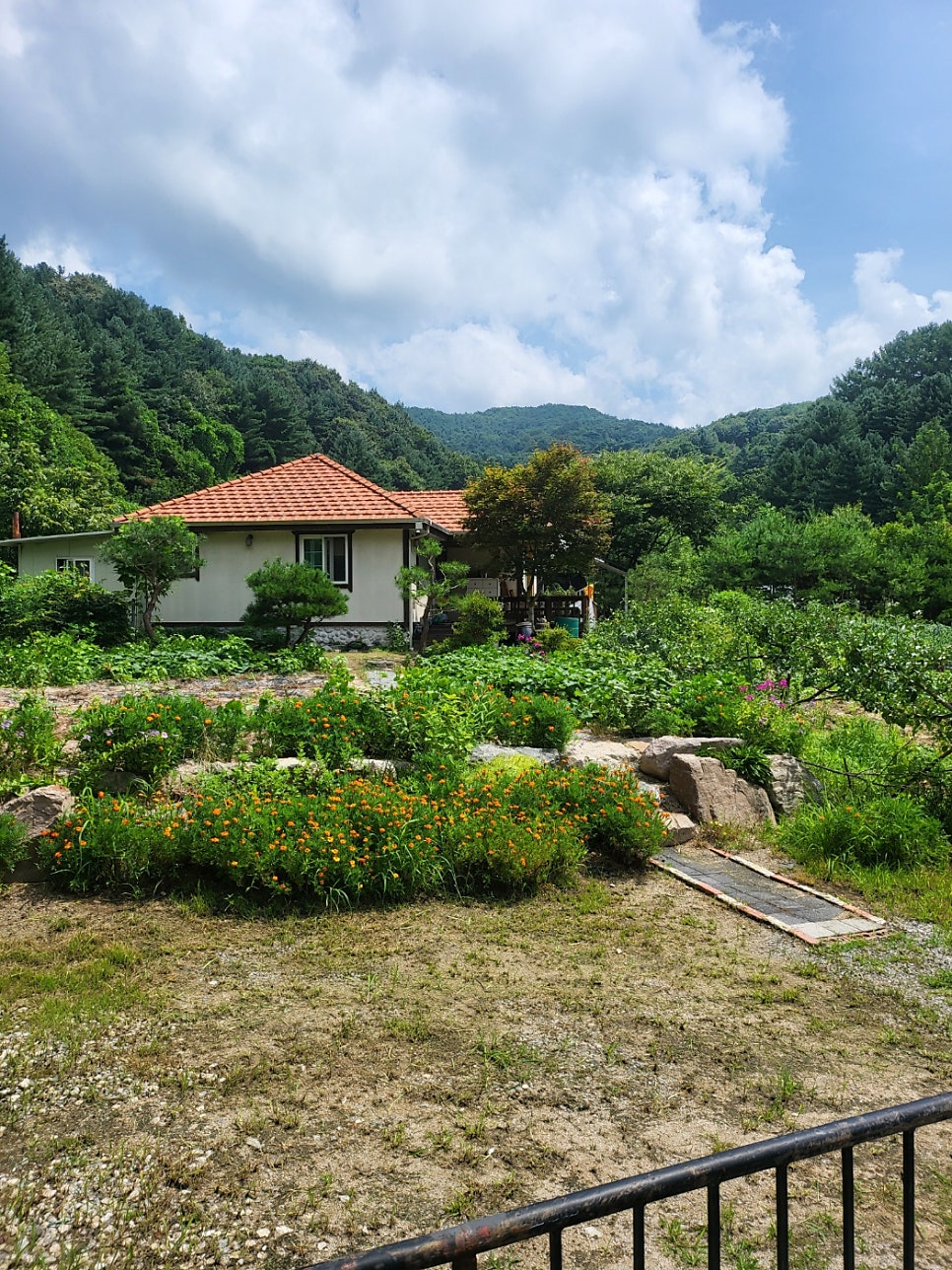 춘천매네미민박 사진 2