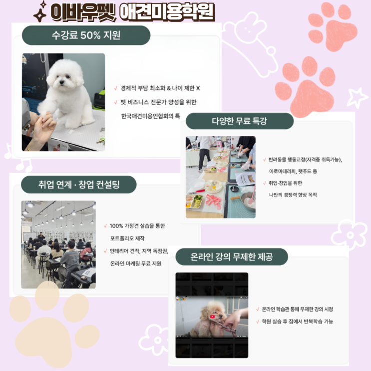  [분당애견미용학원] 애견미용샵 창업을 생각한다면 이바우펫미용학원에서! 상담 후기:)