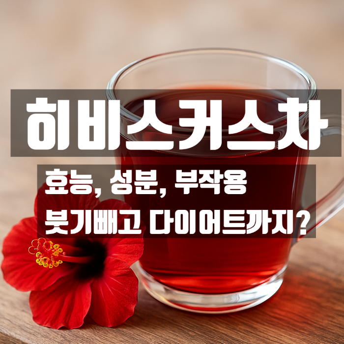  히비스커스차 효능 성분 부작용 총정리, 다이어트에 좋은 붉은빛 한잔