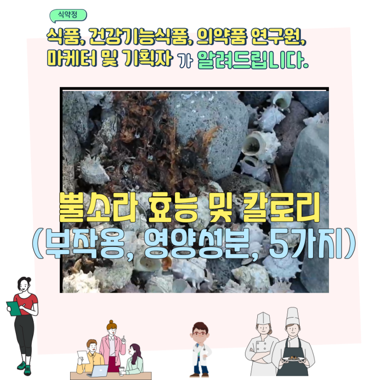  뿔소라 효능 및 칼로리 (부작용, 영양성분, 5가지)