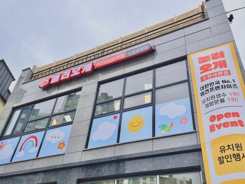 놀러오개 애견유치원 애견호텔 수원세류점
