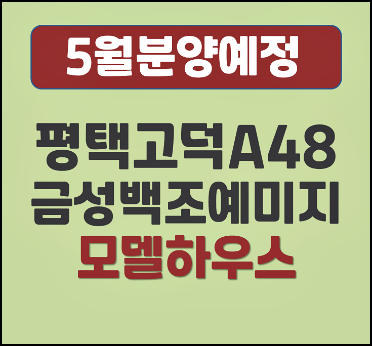  평택고덕 A48 블록 금성백조 예미지 5월 청약 정보