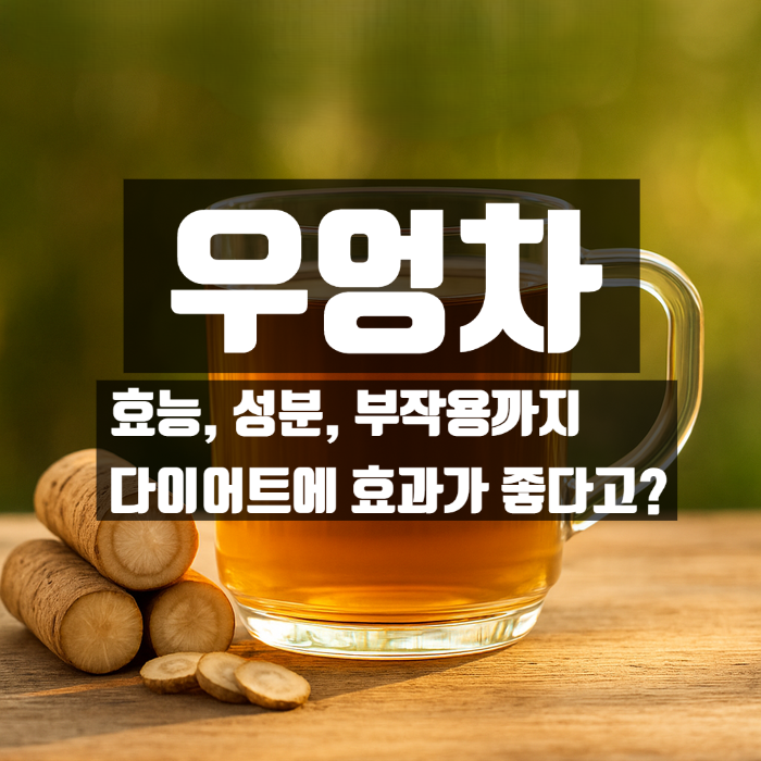  우엉차 효능 성분 부작용 총정리, 체지방 분해로 다이어트에 도움을?