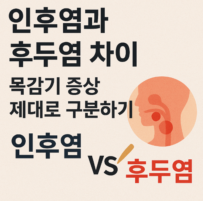 인후염과 후두염 차이 목이 아플 때 정확히 알고 치료하세요!