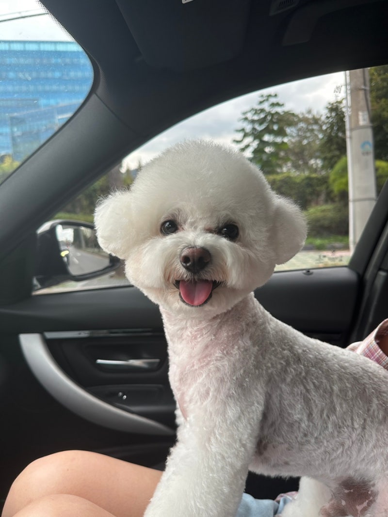 사진 7