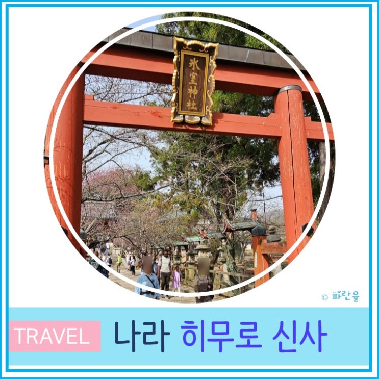  오사카 근교 나라 여행 관광코스 벚꽃 명소 히무로 신사