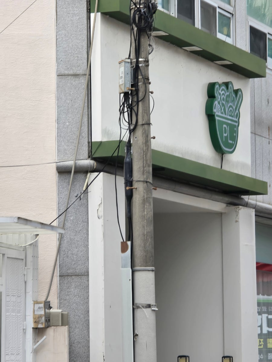 폴라니포케 무거점 사진 5