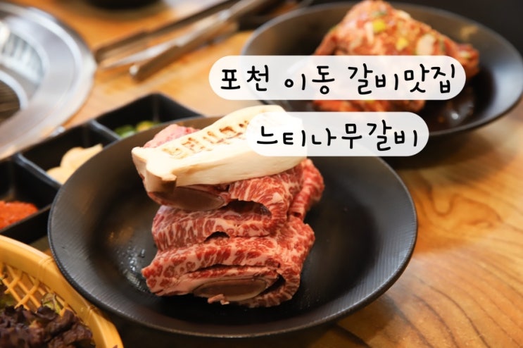  [경기도 포천] 양념갈비 생갈비 포천이동갈비맛집 느티나무갈비