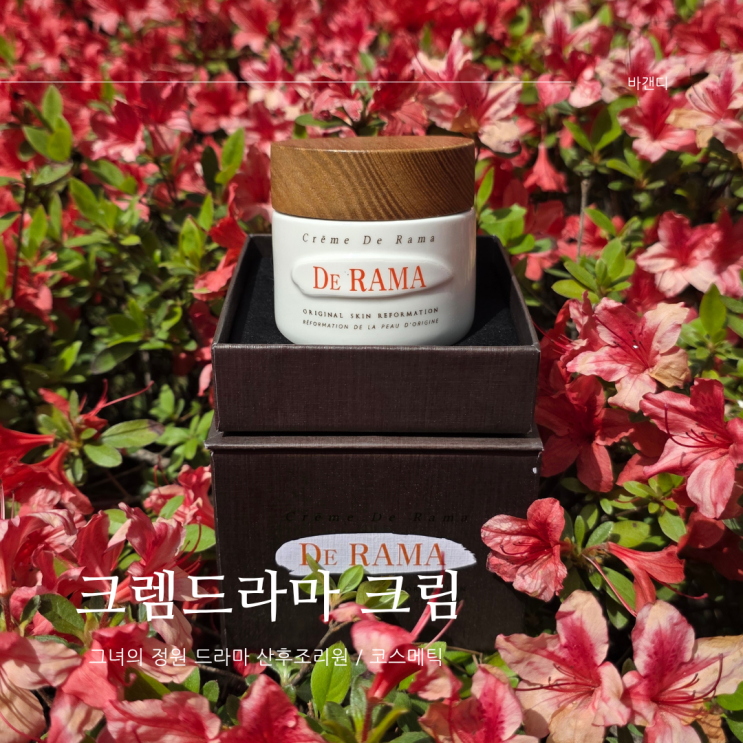  드라마 산후조리원 크렘드라마 크림