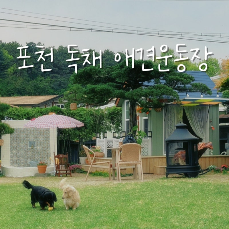 사진 6