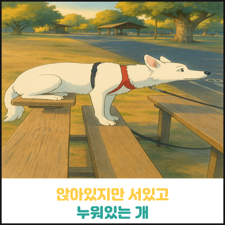 앉아있지만 서있고 누워있는 개 앉아있지만 서있고 누워있는 개