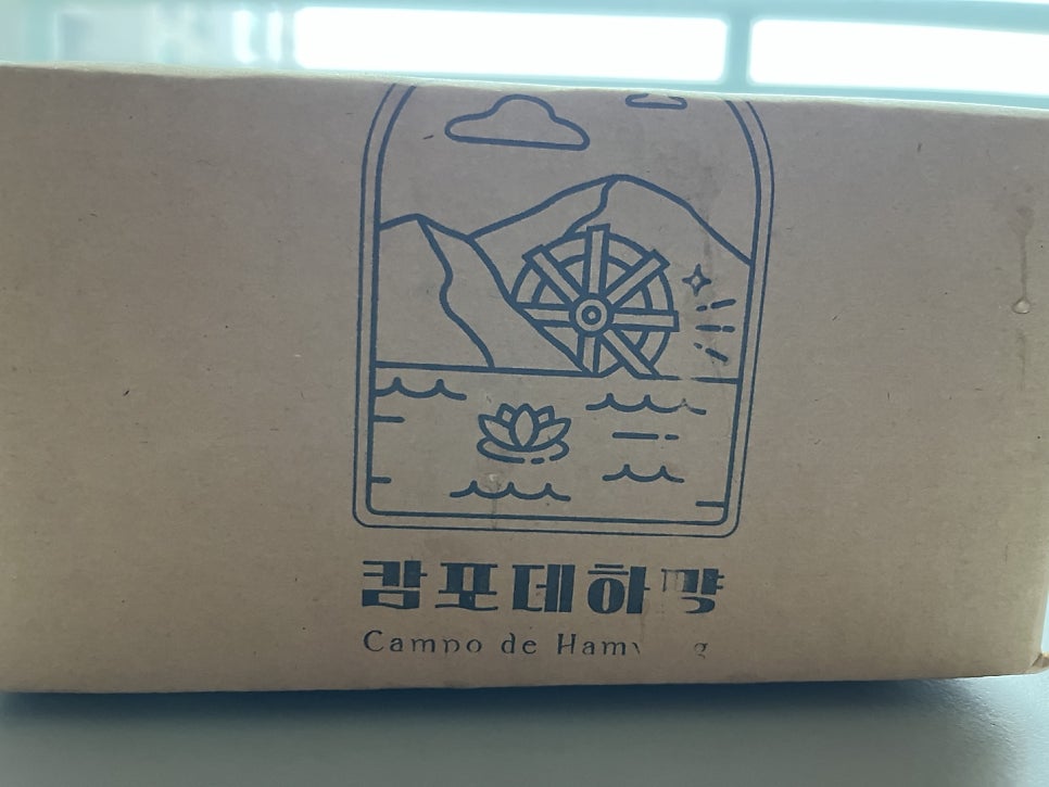 캄포데하먕 사진 3