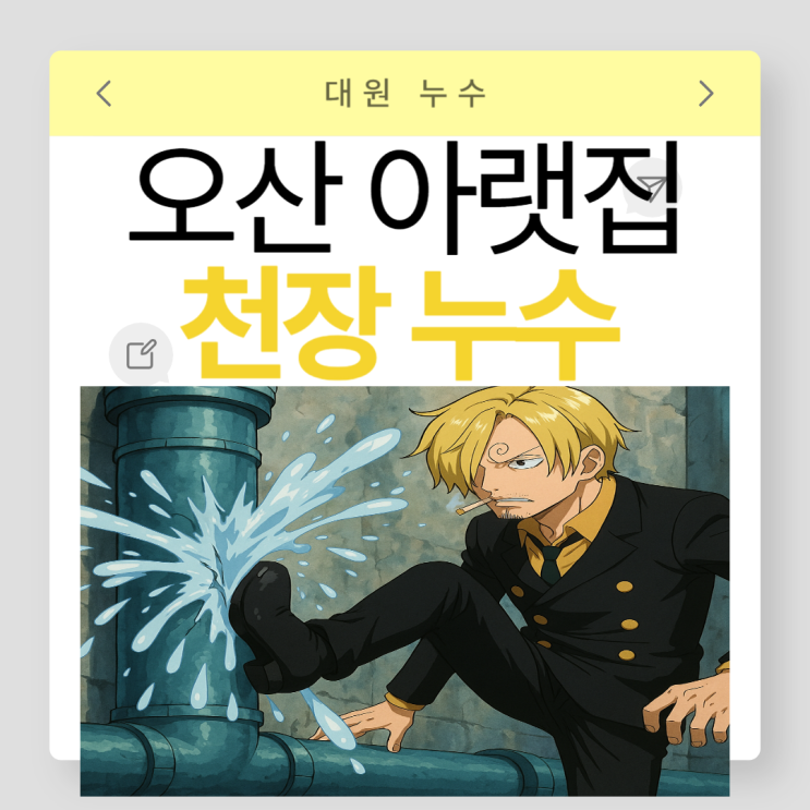  오산 아랫집 누수 세교 상가주택 온수 샤워 배관 누수 업체 천장 공사 비용 보험처리