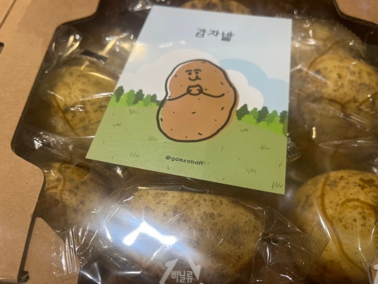  [강원/춘천] 강원도 대형카페 반려동물 동반 감자밭 카페 가격 메뉴
