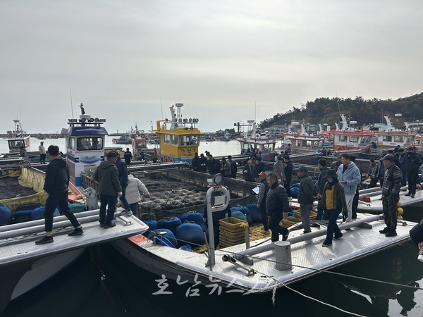  전남 물김 생산량 54만톤·생산액 8천408억으로 역대 최대 위판고 달성