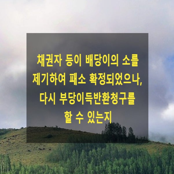  채권자 등이 배당이의 소를 제기하여 패소 확정되었으나, 다시 부당이득반환청구를 할 수 있는지
