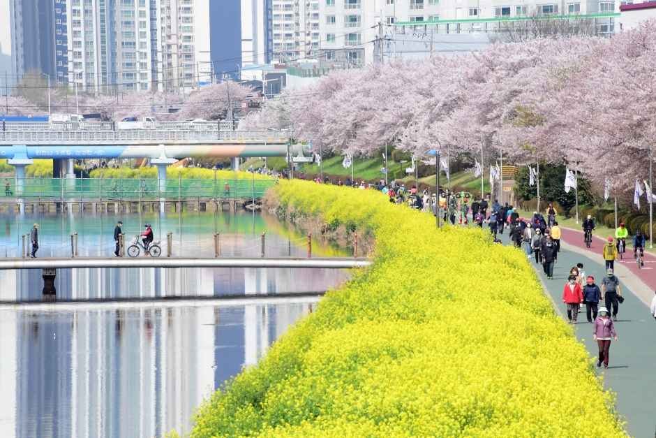 동래온천길(온천천 카페거리)