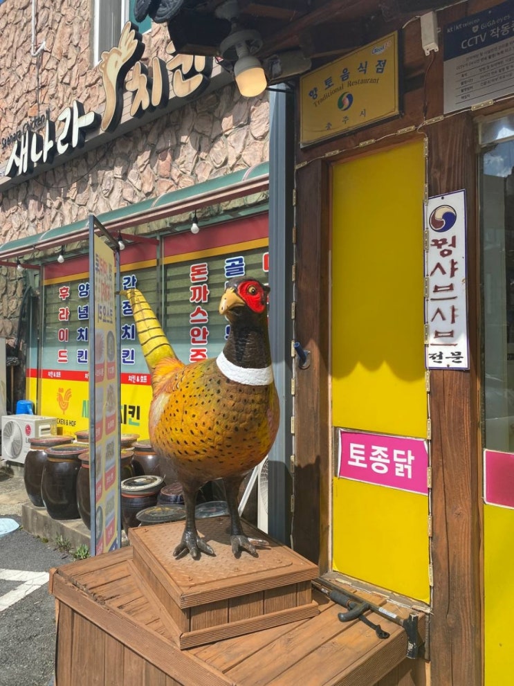  [충주 수안보 꿩요리 맛집] 본가할매숨두부 – 꿩 8종 코스로 만나는 몸보신 풀코스