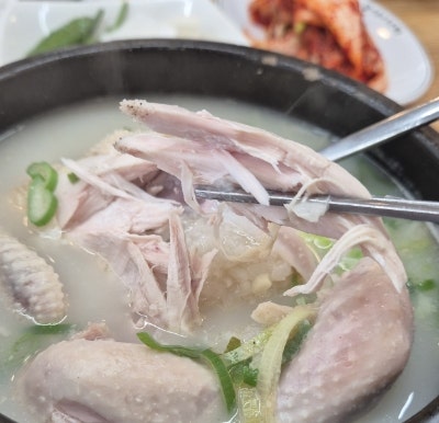  의정부 삼계탕 맛집 서울녹각삼계탕 여름 더위 완벽 타파
