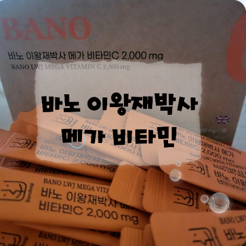 바노 이왕재 박사 메가 비타민c 2000mg 내돈내산 메가도스