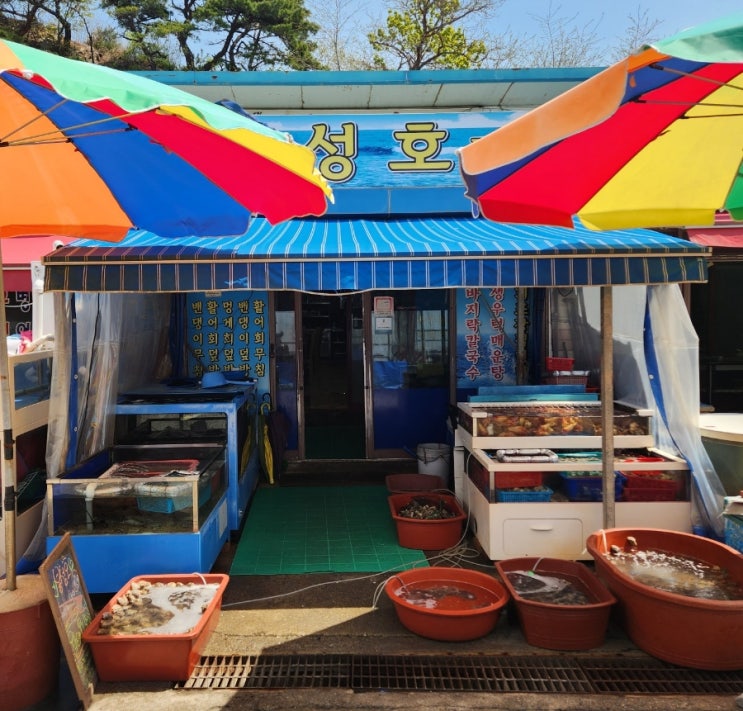  석모도 맛집 강화도 바다의 맛을 한상에 담다 – 봉성호 활어화 한상 & 막걸리 후기