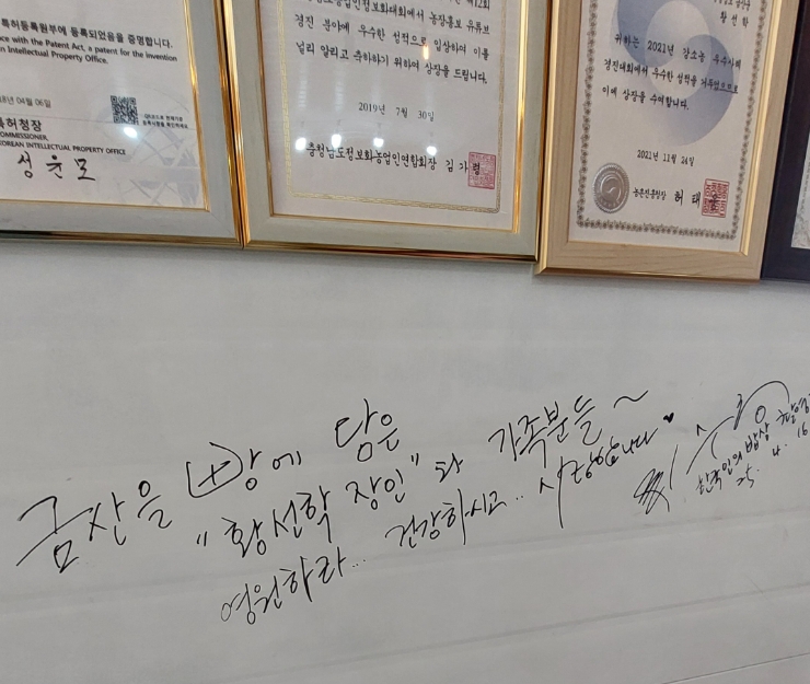 손만세 사진 4