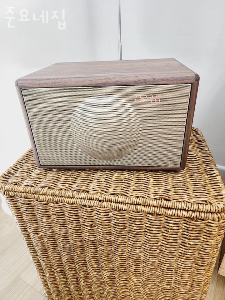 준요네집 사진 5