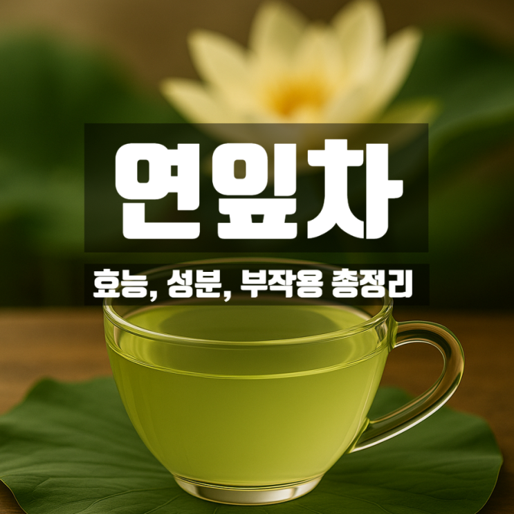  연잎차 효능 부작용 총정리 – 연잎가루는 다이어트 효과 진짜 있을까?