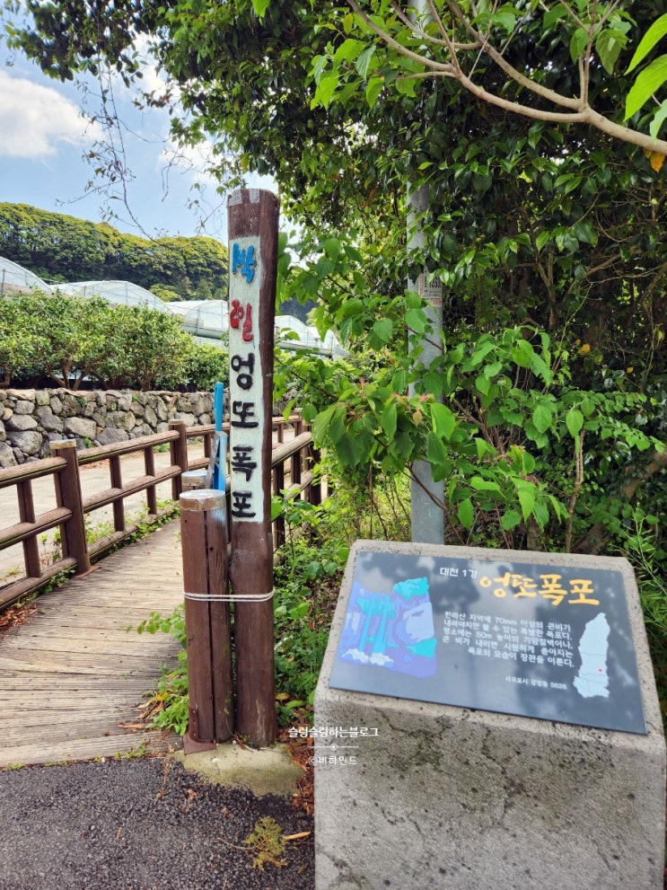  엉또폭포, 서귀포 올빰야시장(서귀포권)_ 제주도 비올때 가볼만한곳