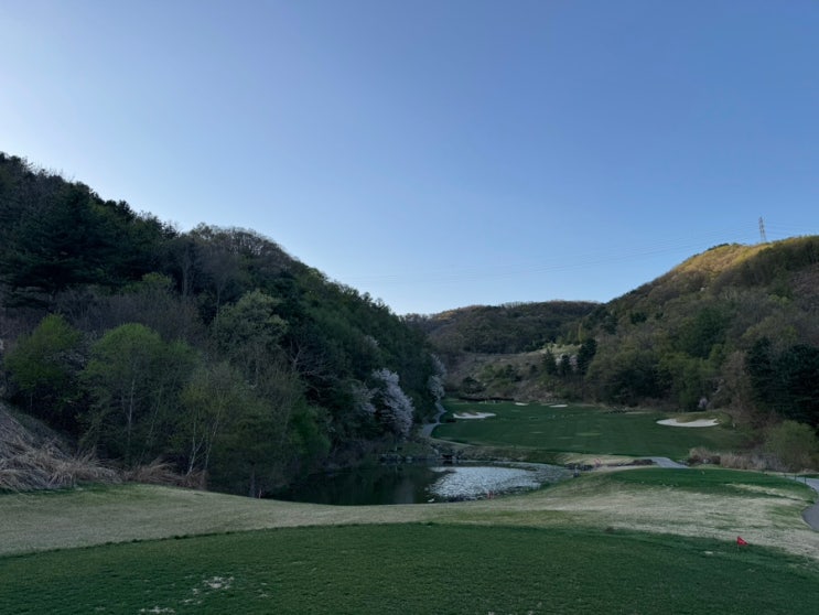  파가니카CC 벚꽃 시즌 후기, 홀별 잔디 상태 공개