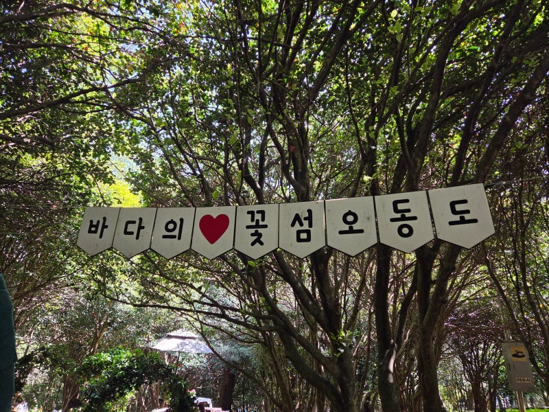 사진 6