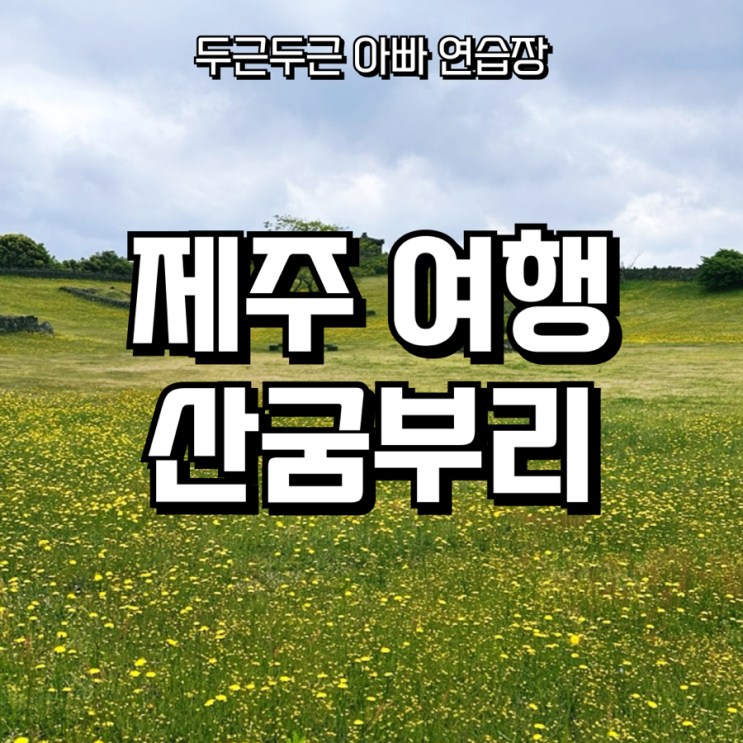  [제주 산굼부리 여행] 초록이 쏟아지는 분화구 산책 — 부모님과 함께한 힐링 코스