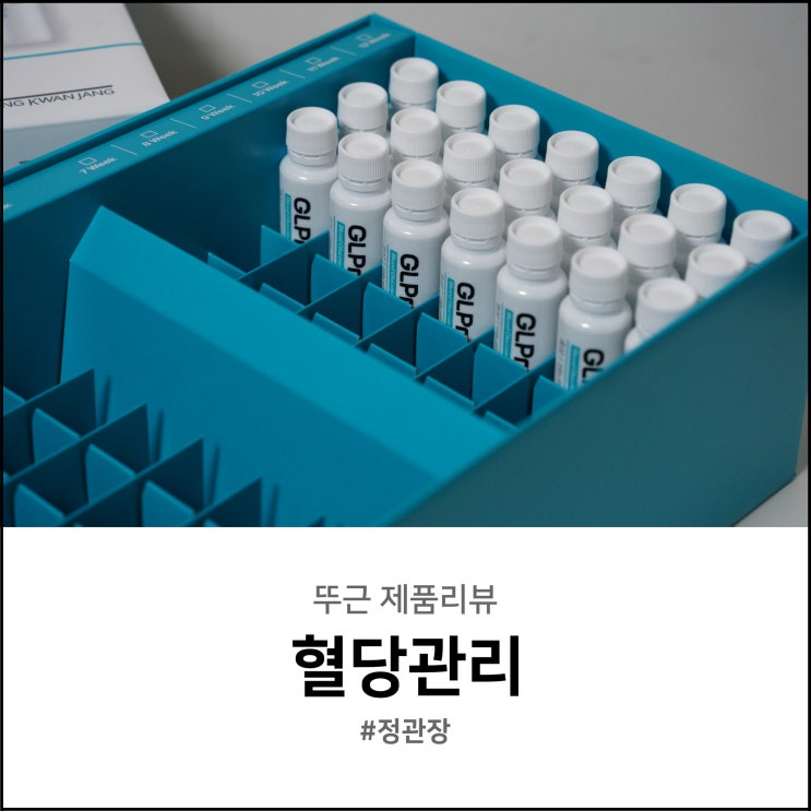  혈당 관리 9주간 꾸준히 했더니 일상 속 자리잡은 혈당 조절 루틴