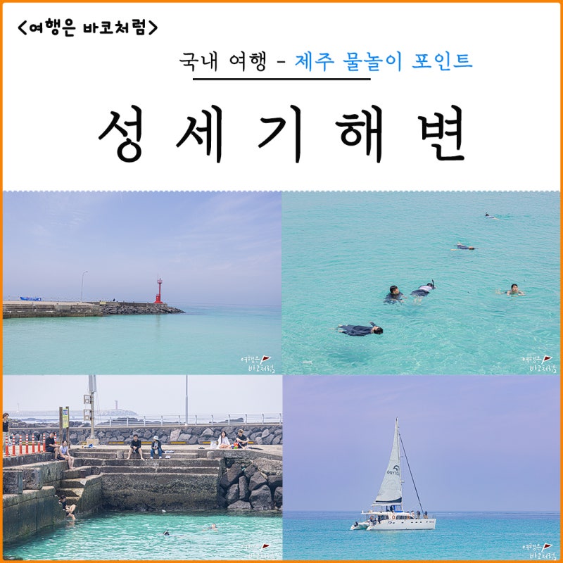 사진 4