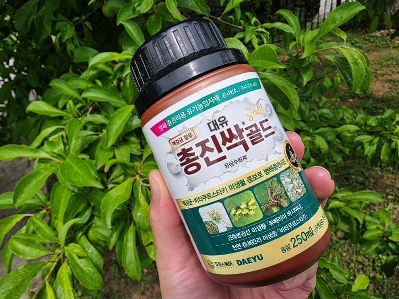 친환경 원예용 살충제 대유 총진싹 골드 사용하는 법